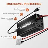 LiTime 12V 20A Lithium Battery Charger 14.6V LiFePO4 Battery Charger AC-DC Smart Charger with Anderson Connector LED Indicator Special for Lithium LiFePO4 Deep Cycle Rechargeable Batteries of Boat, RV