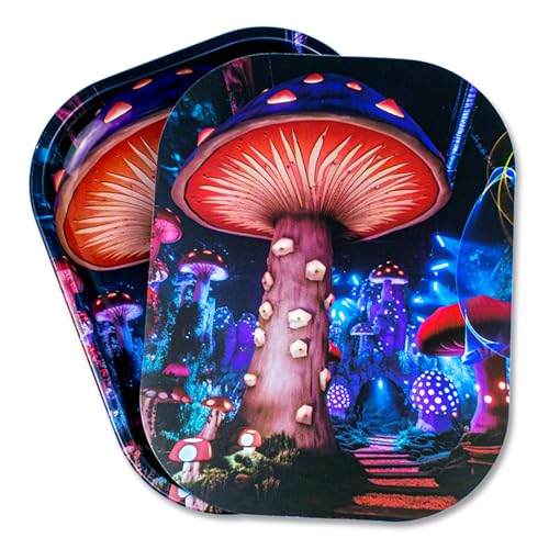 Metal Trays with PVC Soft Magnetic Lid Metal Tray with Lid Cover Small Cute Decorative Tray Ideal Storage for Home or on The Go, 7" x 5.5"