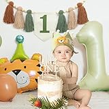 HODIHIWI Wild One 1st Highchair Wood Bead Tassel Garland Lion Crown Hat Wooden Cake Topper Birthday Party Decorations