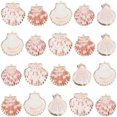 SUNNYCLUE 1 Box 30Pcs Sea Shell Charms Bulk Natural Shell Charm Colorful Summer Beach Ocean Sea Cute Plated Golden Loop Bail Scallop Charm for Jewelry Making Charms DIY Crafting Bracelets Necklaces