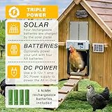 Automatic Chicken Coop Door Opener, ChickenGuard One in All 4 Colours + Solar Panel Kit, Timer/Light Sensing, Winter Mode, Auto-Stop & Predator Proof, Battery/Electric Compatible (Red)