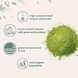 Sustainably US Grown, Organic Kale Powder, 2 Pounds | Fresh Freeze Dried Source | Nutrient-Dense Greens Superfood | Kale Tea and Green Drink Mix | 907 Servings, No GMOs, Vegan Friendly