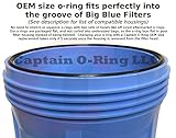 Captain O-Ring22 O-Rings Compatible with Pentair Pentek Big Blue Water Filters OEM Size ORing Buna-N (3 Pack)