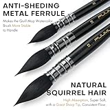 Professional Watercolor Brush, Fuumuui Natural Squirrel Hair Mop Brush, Round Quill Detail Fine Tip Watercolor Paint Brush for Water Color Gouache Ink Painting - Sizes #8