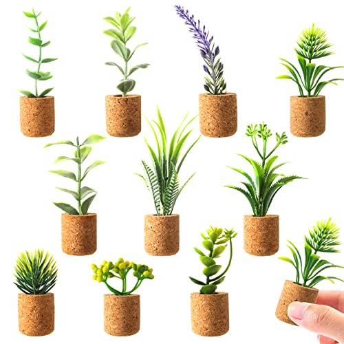 JUSTDOLIFE Plant Fridge Magnets-Mini Succulent Magnets Artificial Plants Refrigerator Magnets Potted Succulent Plants Magnet Stickers Cute for Magnet Boards Fridge Home Office Decor