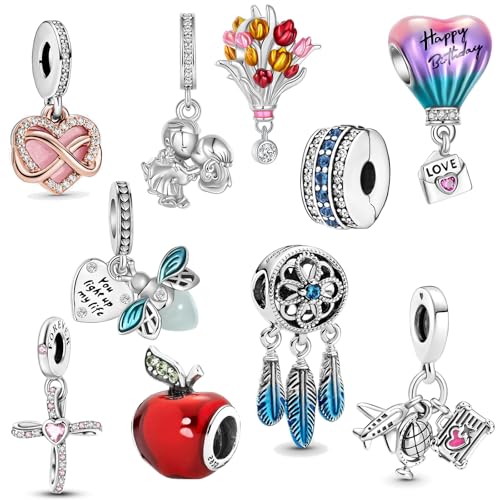 ARVALILS 10 Pack Charms 925 Sterling Silver fits Bracelets and Necklace Pendant Bead Charms Jewelry Gift for Women Family Friends