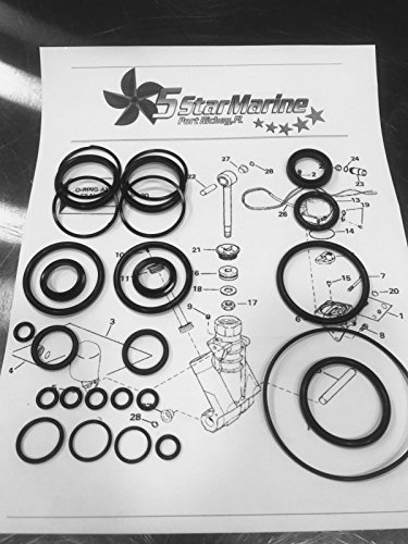 Rebuild Kit!! Johnson Evinrude OMC Trim & Tilt O-Ring & Seal Kit 434519 0434519 FSM011