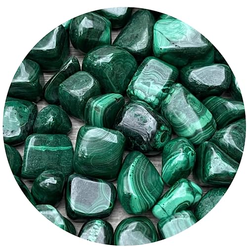 GAF TREASURES Wholesale Malachite Tumbled Stones, Polished Natural Malachite Gemstone, Malachite Polished Rocks (Malachite, 0.5 Pound)