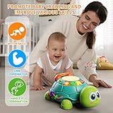 Letapapa Baby Toys 6 to 12 Months, Tummy Time Toy for 12-18 Months, Musical Turtle Crawling Toys with Light & Sound, Birthday Gift Early Educational Toy for Baby Infant 6 7 8 9 10 Months 1 2 Year Old