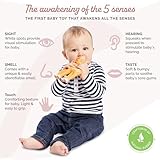 Sophie la girafe | Fanfan The Fawn | Teether Friend to Sophie la girafe | Natural Rubber | Designed for Teething Babies | Awaken All 5 Senses | Easy to Clean