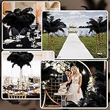 XunYee 240 Pcs Ostrich Feathers Bulk Natural Feathers Decoration 12-14 Inch 10-12 Inch 8-10 Inch Natural Ostrich Feathers Plumes for Wedding Centerpieces Flower Arrangement Home Decor (Black)