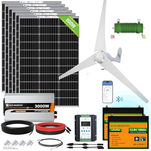 ECO-WORTHY 1000W 4KWH Solar Wind Power Kit: 400W Wind Turbine + 6pcs 100W Solar Panel + 2pcs 12V 100Ah Lithium Battery + 24V 3000W Inverter for Home/RV/Boat/Farm/Street Light and Off-Grid Appliances