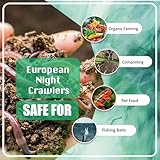 European Nightcrawlers - Approx. 125-150 Live Composting & Fishing Worms, Premium High-Performance Bait for Anglers, Versatile for Trout, Panfish, & Garden Soil Enrichment, Fresh Live Arrival Promised