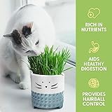 The Cat Ladies Cat Grass for Indoor Cats, Cat Grass Growing Kit with Organic Cat Grass Seed Mix, Soil and Ceramic Cat Planter, Pet Grass for Cats, Natural Hairball Remedy, Cat Gifts