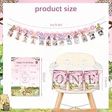 Classic Winnie 1st Birthday Decorations - 117 Pcs Vintage Girl Theme, Includes Winnie Decorations