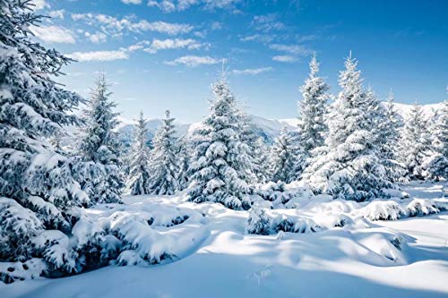 BELECO 9x6ft Fabric Winter Snow Forest Backdrop Frozen White Xmas Trees Wintry Scene Alps Photography Backdrop for Christmas New Year Party Decorations Winter Wonderland Background Photo Props