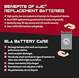 AJC Battery Compatible with Genuine Scooter Buddy 125 125CC Scooter and Moped Battery