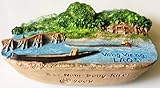 Nam Song River Vang Vieng LAOS Resin 3D fridge Refrigerator Thai Magnet Hand Made Craft.