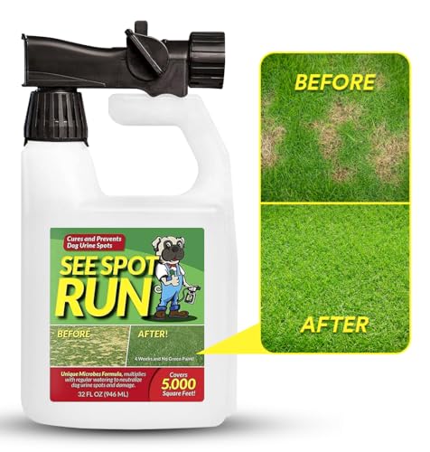 See Spot Run Eliminate Yellow Spots On Your Lawn Caused by Dog Urine | All-Natural, Safe for Pets and Humans | Made in The USA | Ready-to-Mix Gallon (32 oz)