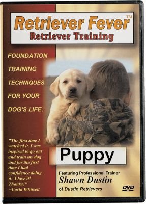 Retriever Fever; Retriever Training, Puppy