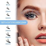 Individual Lashes Cluster Large Tray 240pcs Individual Lashes 0.07mm 10D/20D D Curl Mix 8-16mm Cluster Lashes Natural Lash Cluster Soft&Lightweight DIY Eyelash Extension By GEMERRY(10D/20D-D, 8-16)