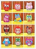 MSCFTFB 24 Pieces Owl Iron on Patches Assorted Color Applique Embroidered Badge Sew on Patch for Clothing Jackets Backpack Repairing Decorations