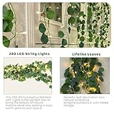 Lfasww Vines with Lights 240 LED Eucalyptus Garland with Lights with Remote, Curtain Lights for Bedroom Home Kitchen Office Wedding Wall Decor