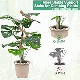 3 Pack Moss Pole, 50 Inch Monstera Plant Support, Tall Moss Poles for Climbing Plants Indoor DIY, Coco Coir Plant Pole Moss Plant Stick Support Stake Kit for Potted Plants, Pothos, Philodendron