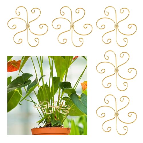 5 Pcs Plant Stem Support, Iron Monstera Plant Support, Durable Hook Stem Supports for Healthy Growth, Bamboo Clamp Set for Leaf Stabilization and Support, Ideal Present for Plant Lovers