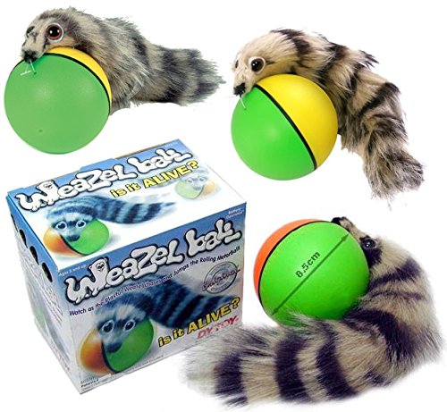 D.Y. TOY - The Original Weasel Ball, Interactive Motion Toy 3 Pack