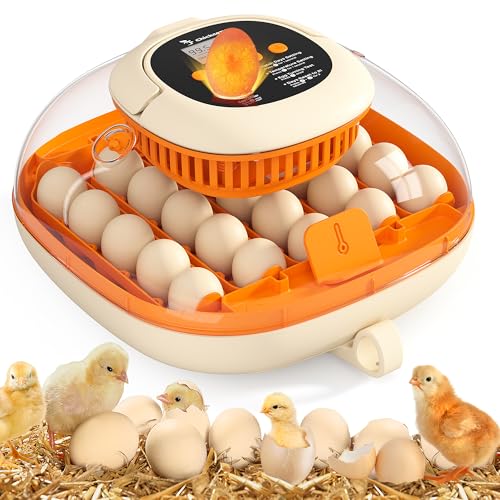 Chickcozy [2024 Upgrade] 25 Egg Incubator, Automatic Egg Turner with Thermometer Seat and Humidity Control, Egg Candler, 360° View with Clear Window, Incubators for Hatching Chicks