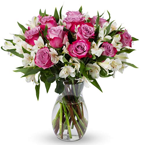 Benchmark Bouquets - Delightful Roses & Alstroemeria (Glass Vase Included) - Fresh Flowers for Delivery - Gift for Graduation, Birthday, Anniversary, Sympathy, Get Well, Congratulations
