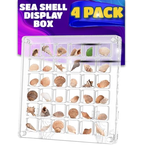 4 Pack of Seashell Display Box Acrylic Magnetic with 6.5ft Antique Rope Transparent Case 36 Grid compartments Remember Precious Moments with Your Kids by Decorating Walls, Windows (4 Pack (36 Grid))