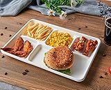 Vplus 100% Compostable 5 Compartment Paper Plates, 100 Pack, 12.5 x 8.6 inch Disposable School Lunch Trays, Eco-Friendly Bagasse Plates for Buffet, and Party