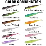 Crappie-Baits- Plastics-Jig-Heads-Kit-Shad-Minnow-Fishing-Lures-for Crappie-Panfish-Bluegill-40-Piece Kit - 30 Bodies- 10 Crappie Jig Heads (Crappie Minnow 135 pc.KIT)