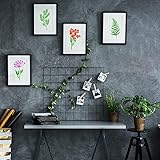 18Pcs Wildflower Stencils Flower Leaf Painting Stencils Reusable Wild Flower Stencil Plastic Art Drawing Templates DIY Crafts Plant Stencil for Painting on Wood Wall Door Canvas Home Decor