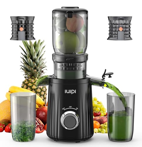 Cold Press Juicer, Slow Masticating Juicer Machines for Whole Vegetable and Fruit, 4.3" Feed Chute, BPA Free, Easy Clean Juice Extractor Machine to Unlock Fresh & Nutritious Juices