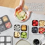 4 Pack Stainless Steel Snack Containers with Lids Lunchable 4 Compartment Food Storage Containers for Adults & Kids Meal Prep Reusable - Bento Lunch Container for School, Work, and Travel (4)