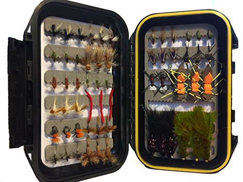 Wild Water Fly Fishing 60 Most Popular Flies in Mini-Mega Assortment with Small Fly Box incl. Dry, Caddis, Nymph, Wooly Bugger for Trout, Panfish, Crappie, Sunfish