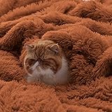 Bedsure Fluffy Burnt Orange Throw Blanket Gifts for Women, Men, Soft Fleece Cozy Fuzzy Sherpa Plush Warm Thick Faux Fur Throws for Couch, Fall Terracotta Orange Decor Valentines Blanket Gifts for Her