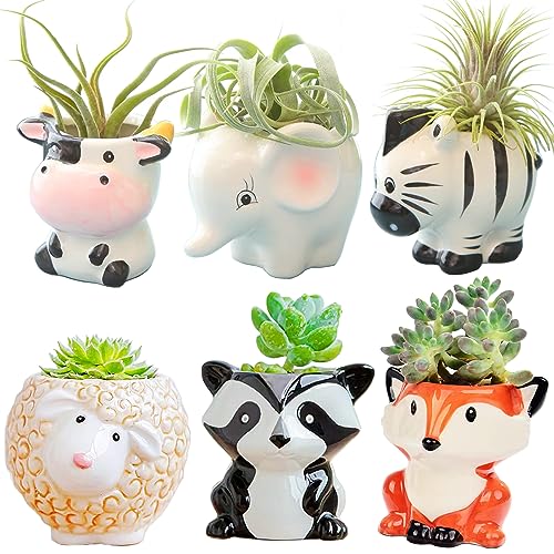 Melphoe 6Pcs Air Plant Holders Cartoon Shaped Small Succulent Pot Animal Planter Small Ceramic Pot Drainage for Mini Plant Cactus Flower, Tillandsia Air Fern, Display Stand Home, Office Desktop