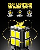 AUXITO 194 LED Bulb 6000K White 168 2825 W5W T10 Wedge 14-SMD Interior Car Bulbs Replacement for Dome Map Door Courtesy Trunk Parking License Plate Lights, 10 PCS