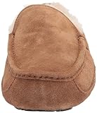 UGG Men's Ascot Slipper, Chestnut, 12