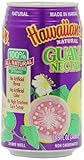 Hawaiian Sun Nectar, Guava, 11.5 Fl Oz (Pack of 24)