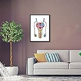 Canvas Paintings Wall Art,Human Organs Urology Penis Fertility Clinic Decor Urology Medical Art Nurse Doctor Art for Office Living Room Wall Art Bedroom wall art Stretched（16"x24"Framed Canvas）