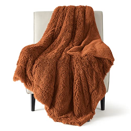 Bedsure Fluffy Burnt Orange Throw Blanket Gifts for Women, Men, Soft Fleece Cozy Fuzzy Sherpa Plush Warm Thick Faux Fur Throws for Couch, Fall Terracotta Orange Decor Valentines Blanket Gifts for Her