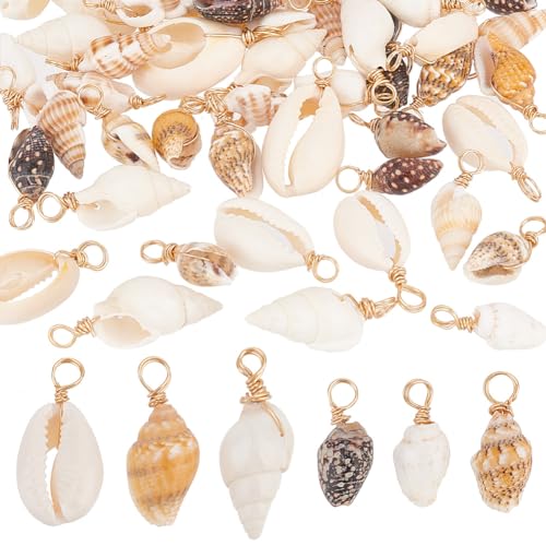 PH PandaHall 120pcs Shell Charms 6 Styles Spiral Seashells Craft Charms Cowrie Sea Shells Pendant Natural Shell Charm Conch Shells with Loop Bail for Halloween Earrings Summer Beach Jewelry Making