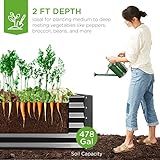 Best Choice Products 8x4x2ft Outdoor Metal Raised Garden Bed, Deep Root Planter Box for Vegetables, Flowers, Herbs, and Succulents w/ 478 Gallon Capacity - Gray