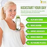 Celery Juice Cleanse by Raw Fountain, All Natural Raw, Cold Pressed Juices, Morning Detox Cleanse, 18 Bottles 12oz, 3 Bonus Ginger Shots