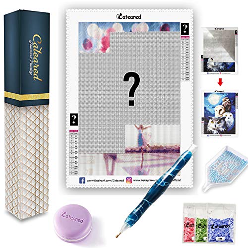 CATEARED Mystery Diamond Painting Kit,Mysterious 5D DIY Diamond Paint by Numbers Art Kit for Adults with Resin Drill Pen and Macaron Wax for Home Decor (Square Drills,12x16in)